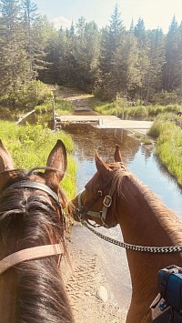 Trajet : Entre-nous le belvédère,  St-Alexis des monts. Pour cavalier intermédiaire. Plusieurs destinations se trouvent au bout de ce trajet. (Amir et Lili sur la photo)