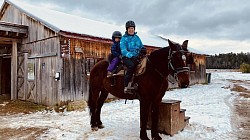 Mignonne: Percheronne-Canadienne d'une douceur hors norme, rien ne vient perturber Mign Mign. Avec mignonne, on est entre bonnes pattes.