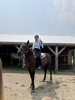 Tristesse: Standardbred très proche de ses émotions. Elle aime bien faire les choses et faire plaisir à son cavalier. Elle vous impressionnera par sa sensibilité.