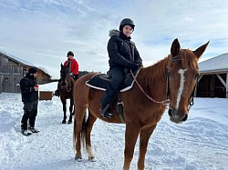 Ready To Go: Quarter Horse sautillant. Il a sa propre technique de travail. Vous comprendrez à votre retour! Vous l'aimerez pour son confort en selle.