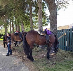 Stationnement Équin à L'épicerie Voum-Vrac à St-Élie-de-Caxton. Un gros merci à vous !!!