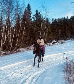 Quick: Petit Thoroughbred introverti et timide. On se croirait sur un petit nuage. Son galop est exemplaire et confortable. Sensible, il est le bébé de l'équipe du haut de ses 5 ans.