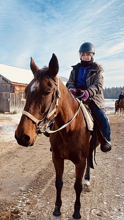 Lili: Standardbred marathonienne, elle a une endurance impressionnante. On peut dire qu'elle a une belle vitesse de croisière