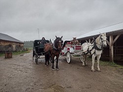 Mignonne et Aslau attendent les instructions pour un mariage sous la pluie.