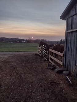 Lever du soleil à l'écurie du Baluchon.