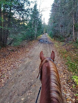 Amir lors d'une excursion dans le parc Mastigouche à Mandeville.